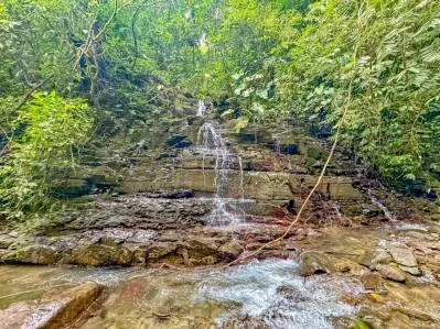 Terreno selvático en venta cerca de Ojochal | Costa Azul, Costa Rica, photo 9
