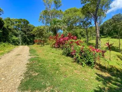 Terreno selvático en venta cerca de Ojochal | Costa Azul, Costa Rica, photo 10