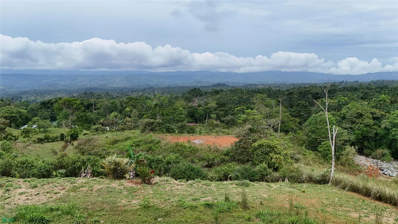 Finca Tambor, photo 11
