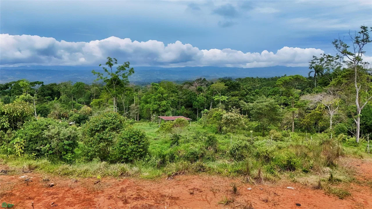 Finca Tambor, photo 12