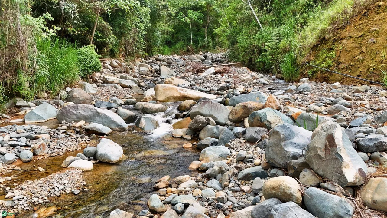 Finca Tambor, photo 13