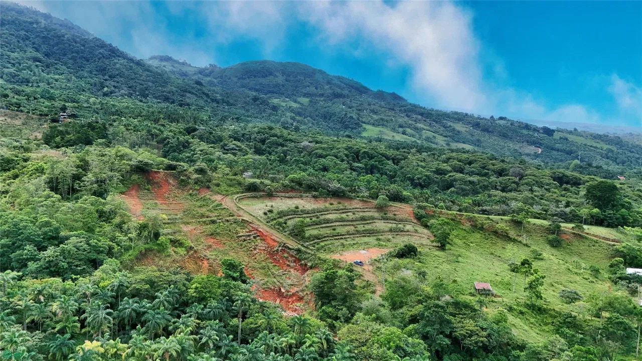 Finca Tambor, photo 14