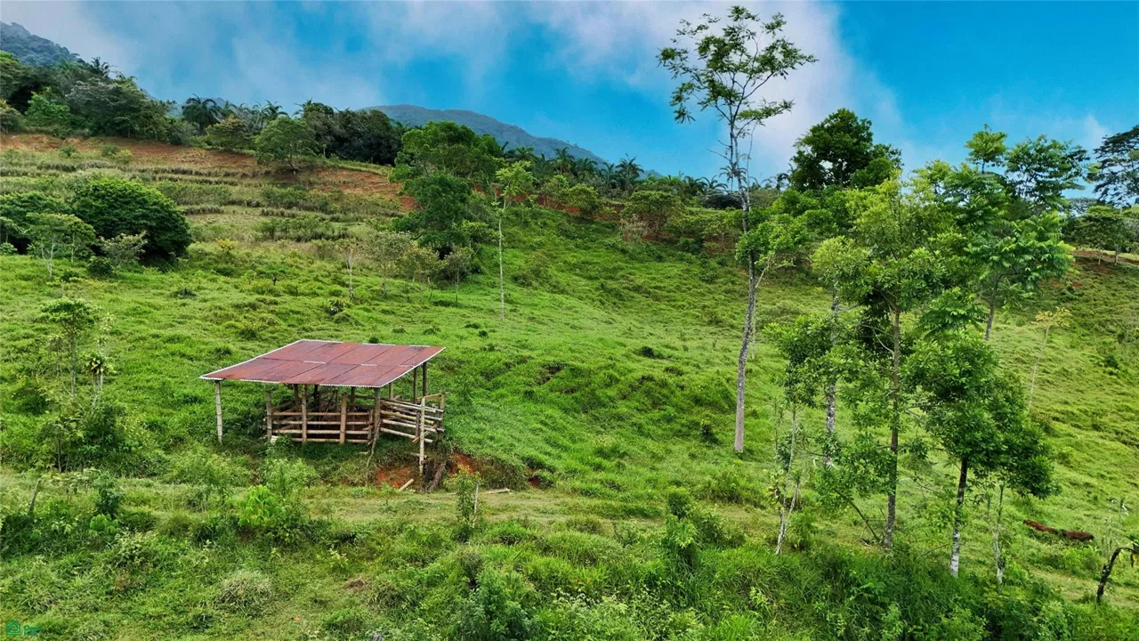 Finca Tambor, photo 15