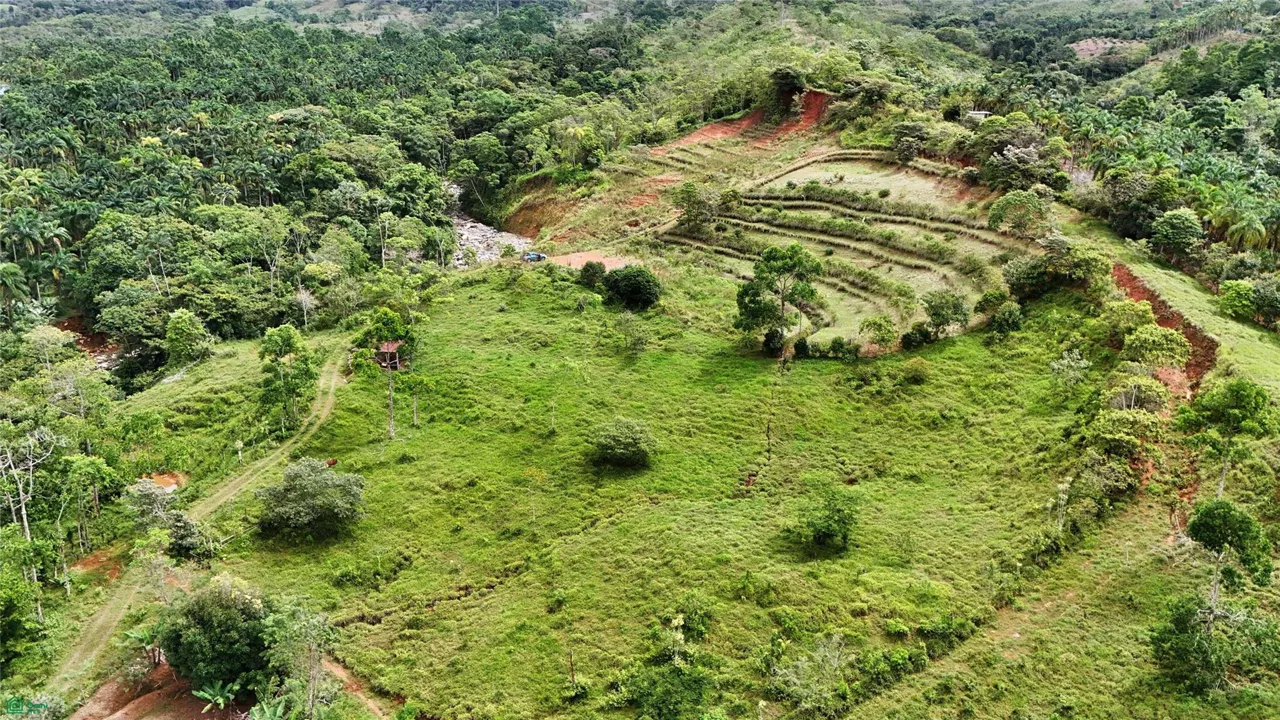 Finca Tambor, photo 4