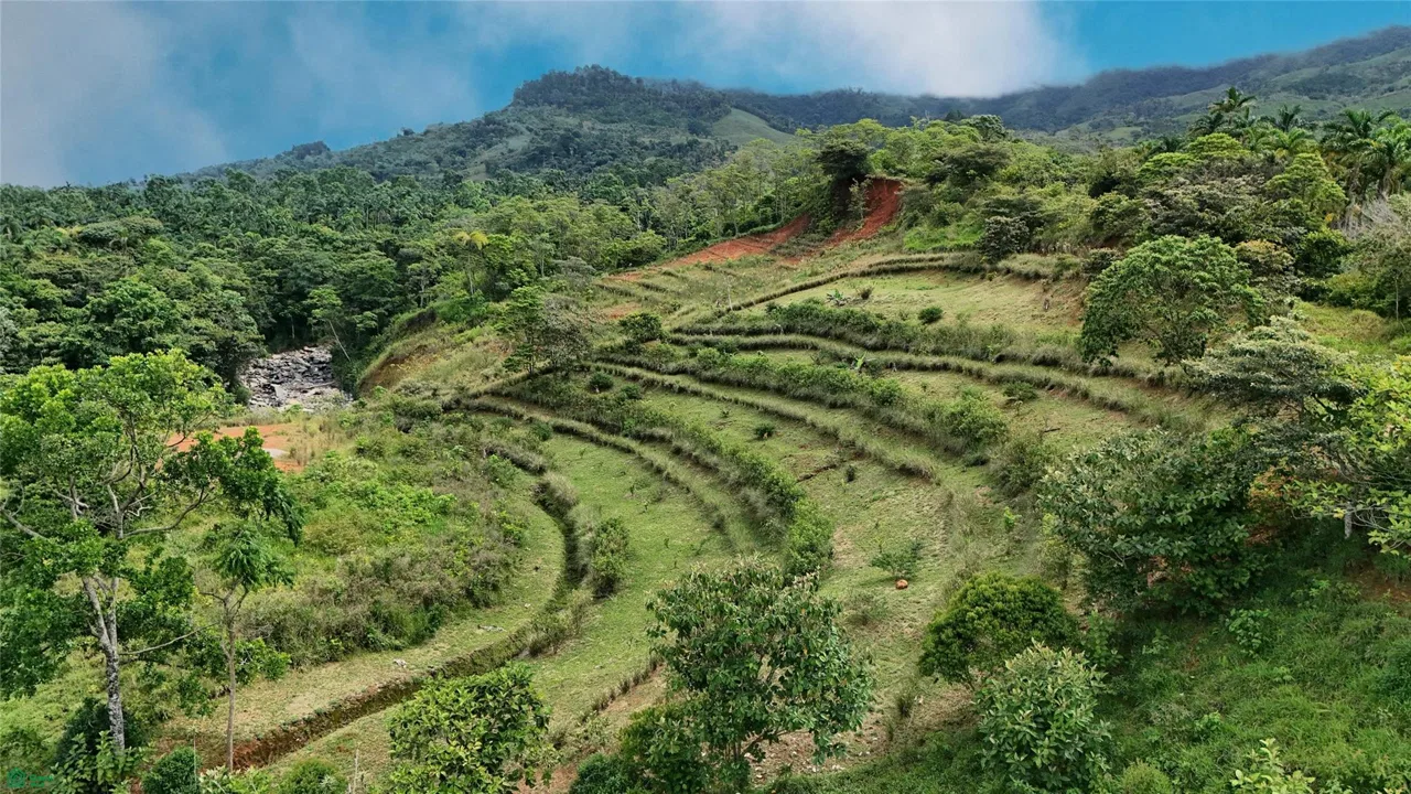 Finca Tambor, photo 5