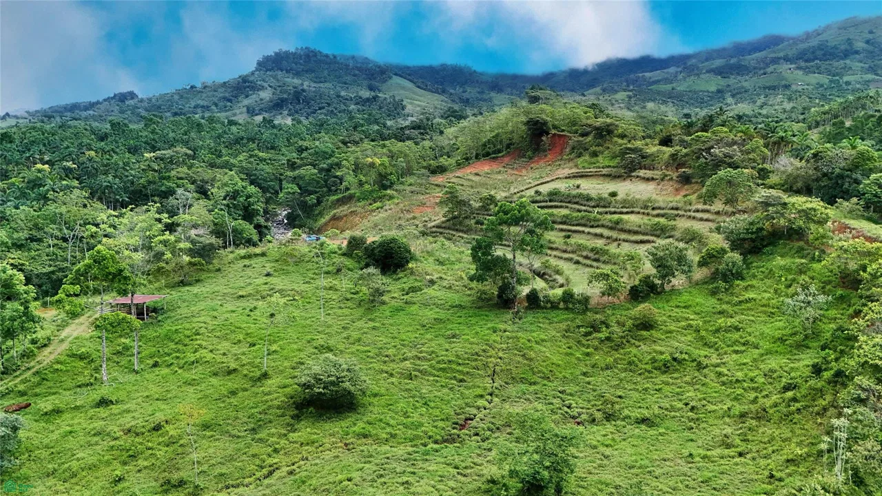 Finca Tambor, photo 6