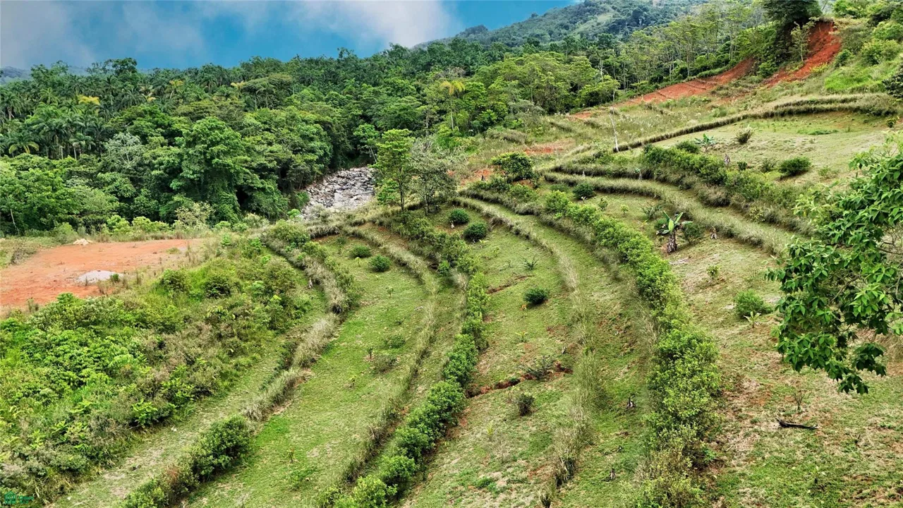 Finca Tambor, photo 8