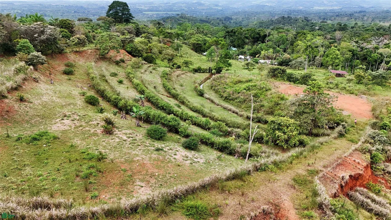 Finca Tambor, photo 9