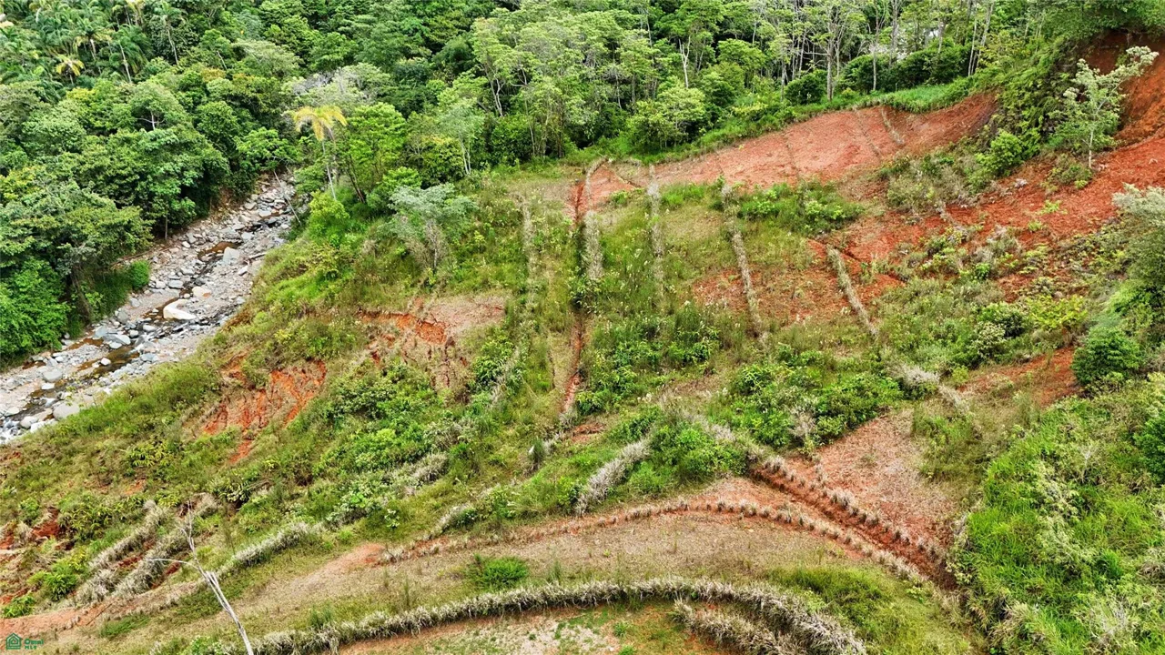 Finca Tambor, photo 10