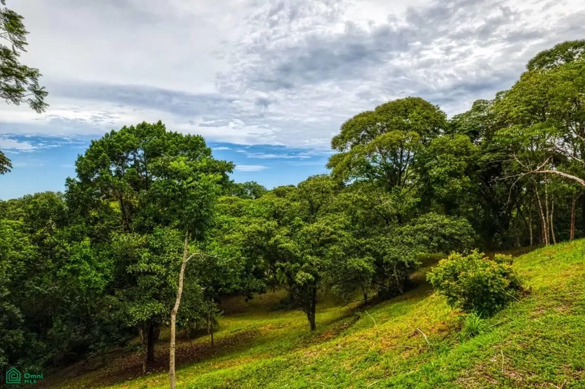 ,, Puntarenas
