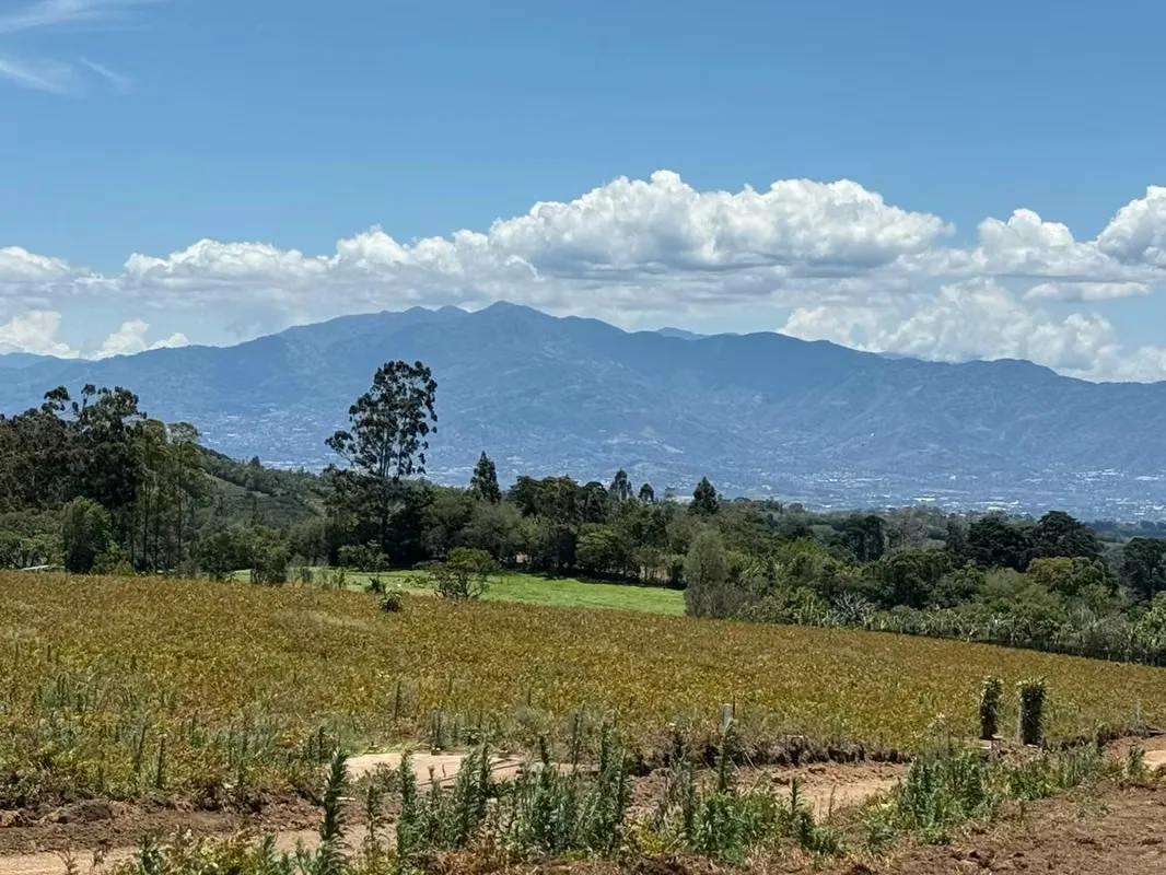 AMPLIOS LOTES EN VENTA CON VISTAS ESPECTACULARES AL VALLE CENTRAL - SABANA REDONDA DE POAS