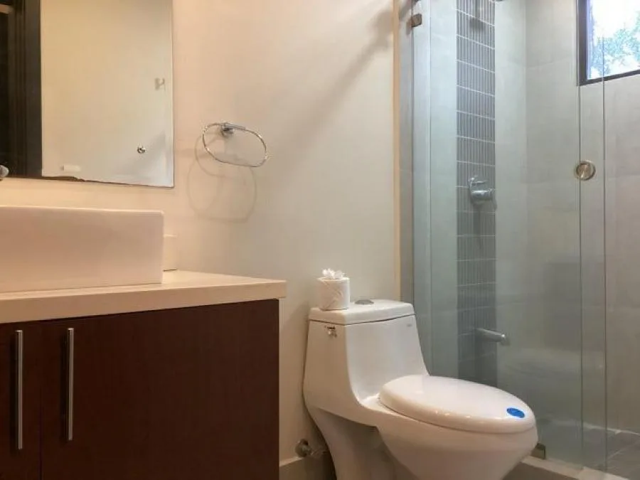 Venta de Apartamento en Brasil de Santa Ana. RAH 26-1196  - Venta en Brasil, photo 11