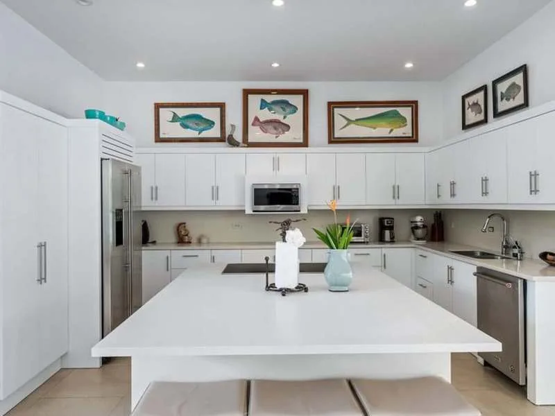 4 Bed Single Family Homes For Sale in Hacienda Pinilla, photo 3