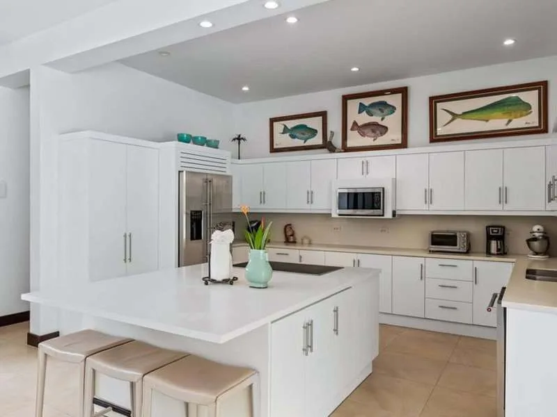 4 Bed Single Family Homes For Sale in Hacienda Pinilla, photo 8