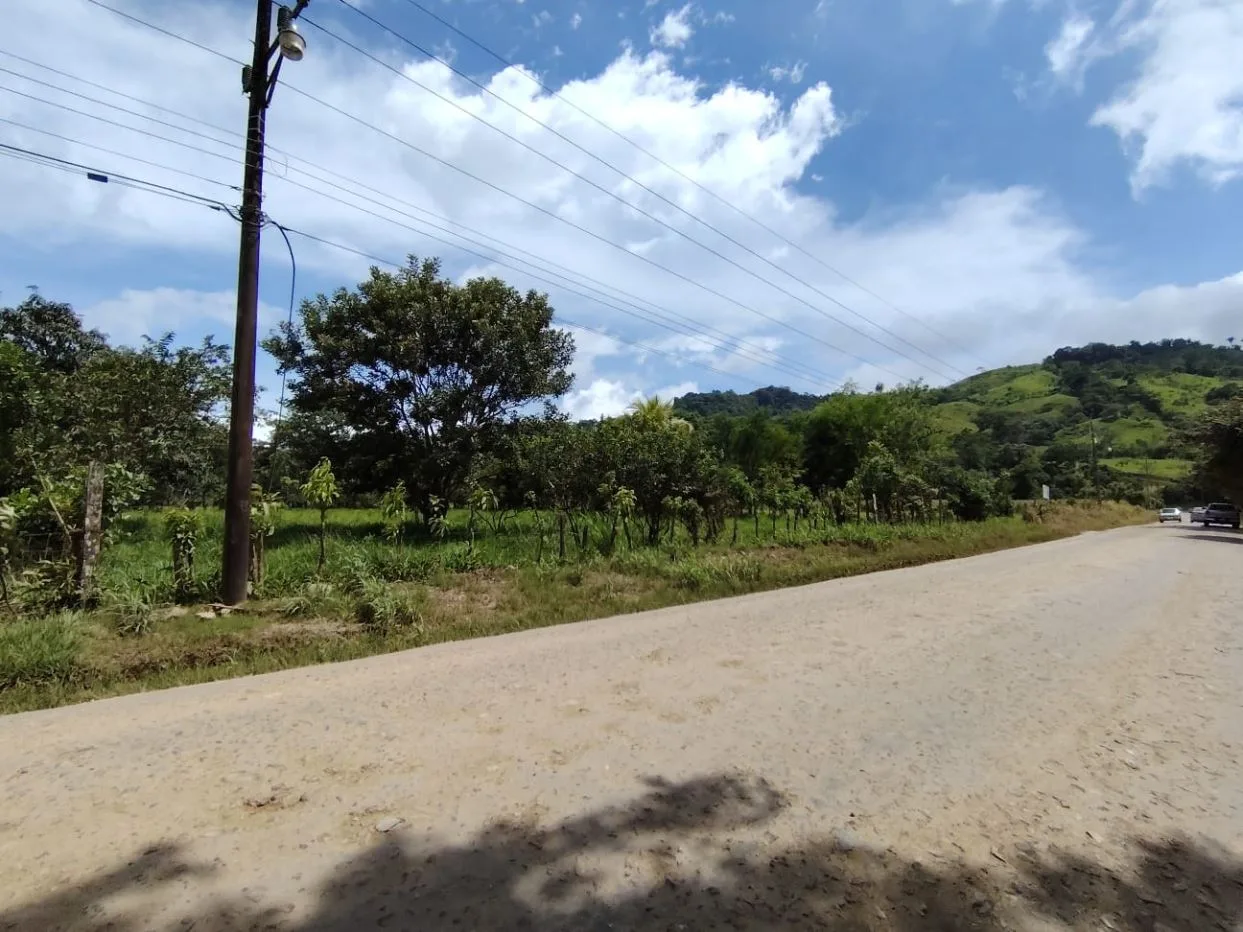 For Sale: Unique Opportunity: 3,497 M² Of Completely Flat And Fertile Land, photo 12