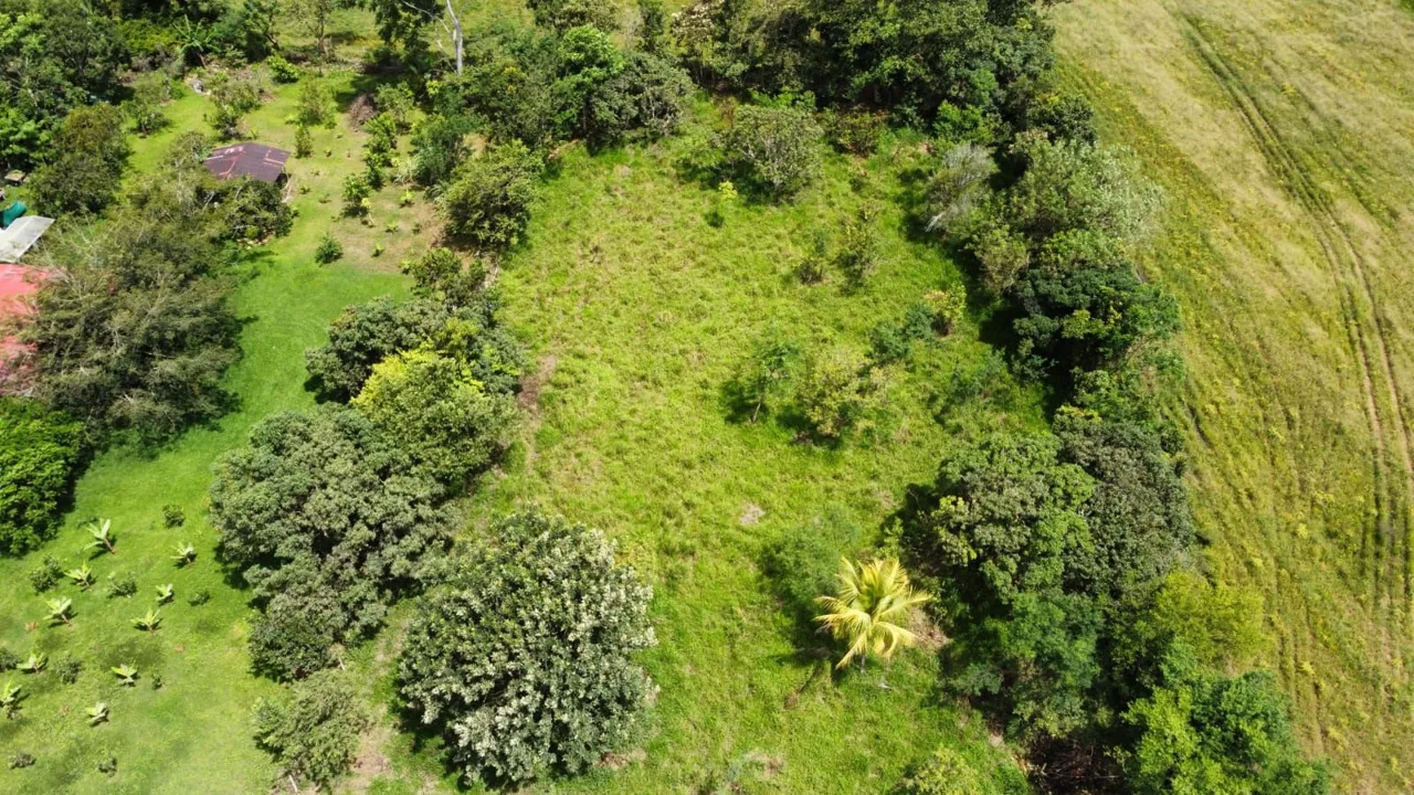 For Sale: Unique Opportunity: 3,497 M² Of Completely Flat And Fertile Land, photo 7