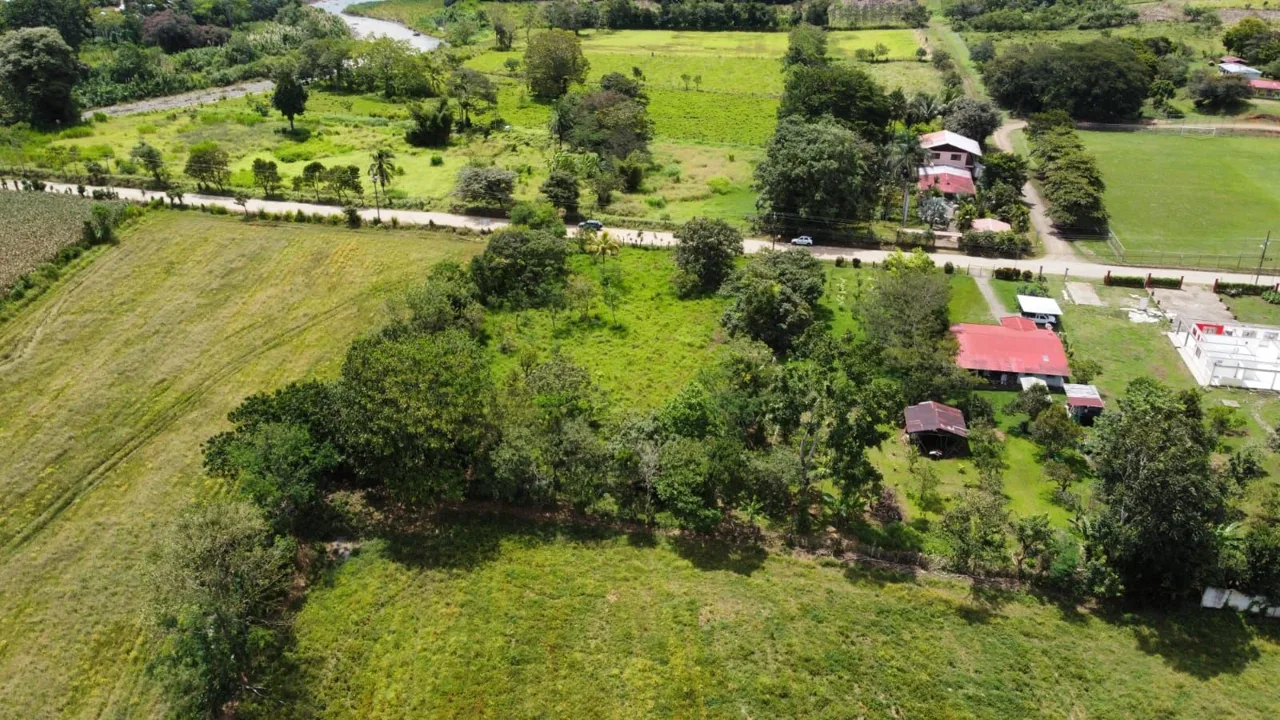 For Sale: Unique Opportunity: 3,497 M² Of Completely Flat And Fertile Land, photo 8