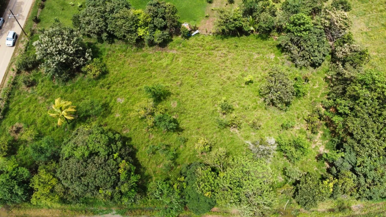For Sale: Unique Opportunity: 3,497 M² Of Completely Flat And Fertile Land, photo 9