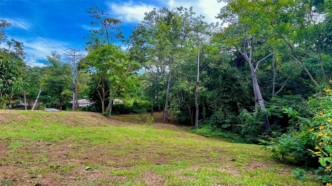 Lindo lote boscoso de 1.630m² dentro del Condominio Las Ventanas de Playa Grande