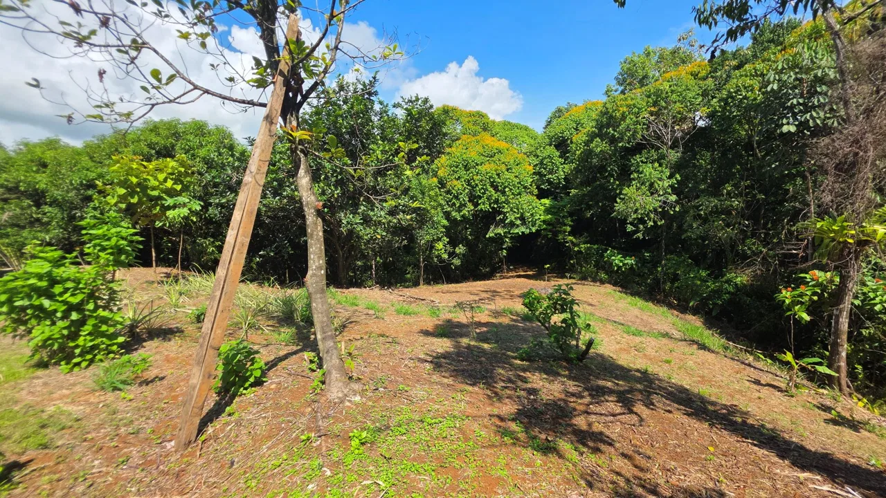 PROPERTY WITH RIVER VIEWS, IN  NARANJITO -1.05 ACRES