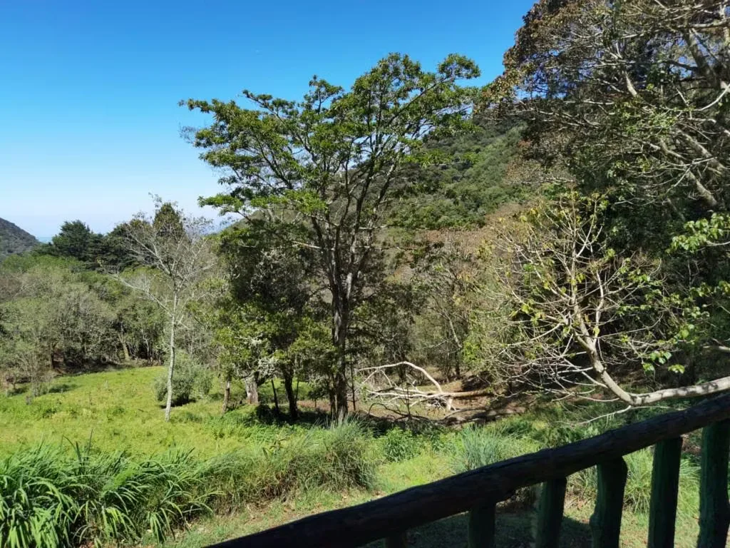 Farms for sale in Canoas, Acosta, San José, photo 4