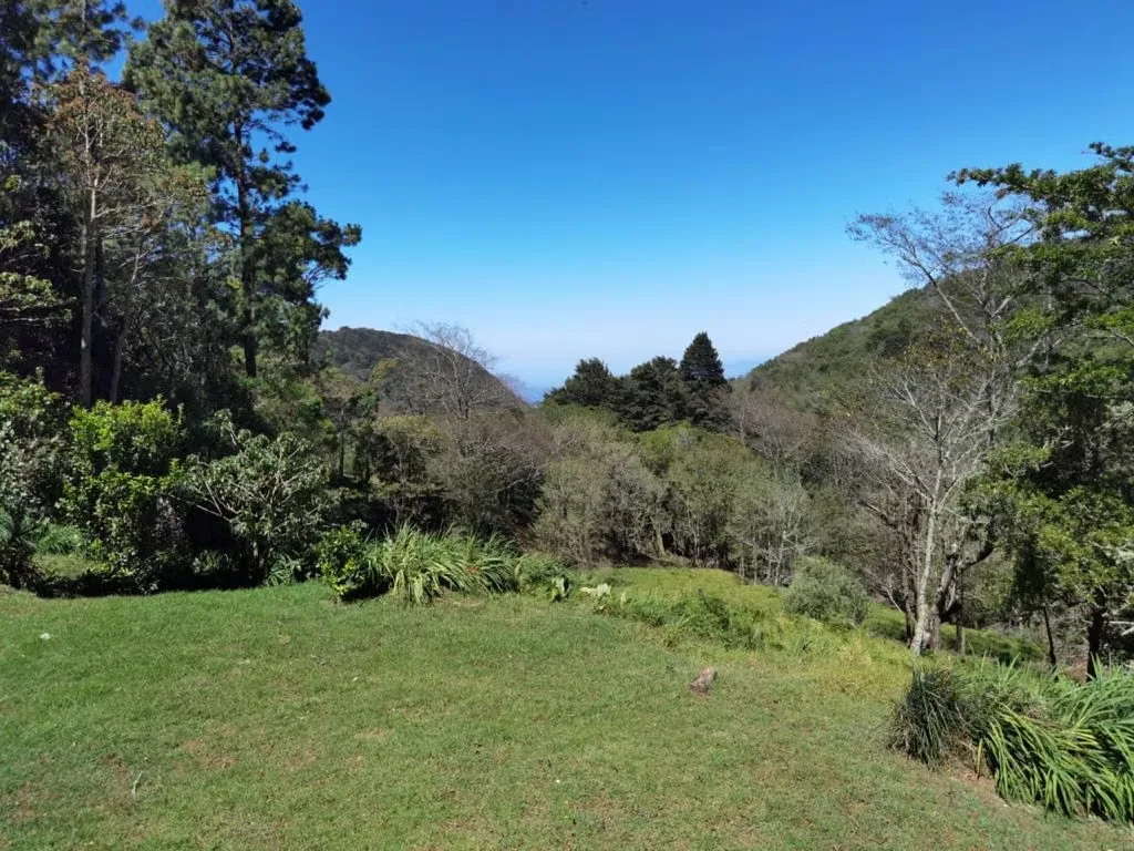 Farms for sale in Canoas, Acosta, San José, photo 7