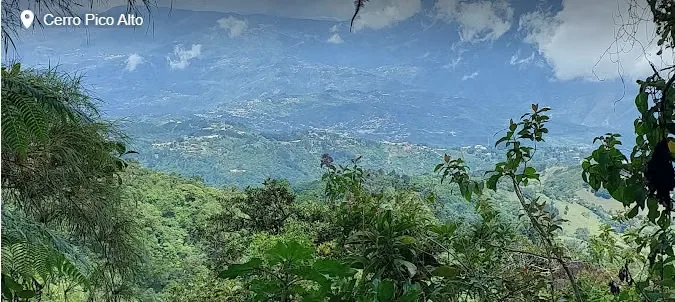 Farms for sale in Canoas, Acosta, San José, photo 10