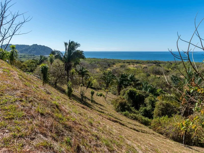 Land For Sale in Playa Camaronal