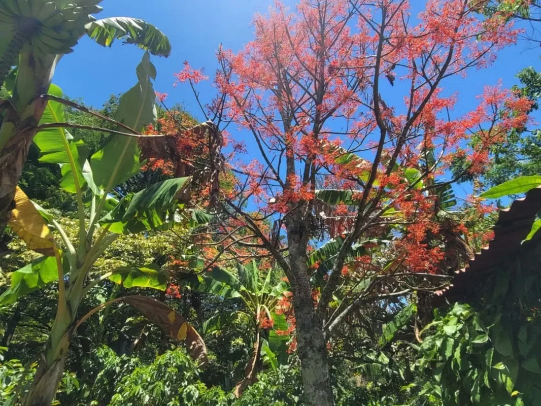 Terrenos en venta con vistas en San Antonio de Escazú