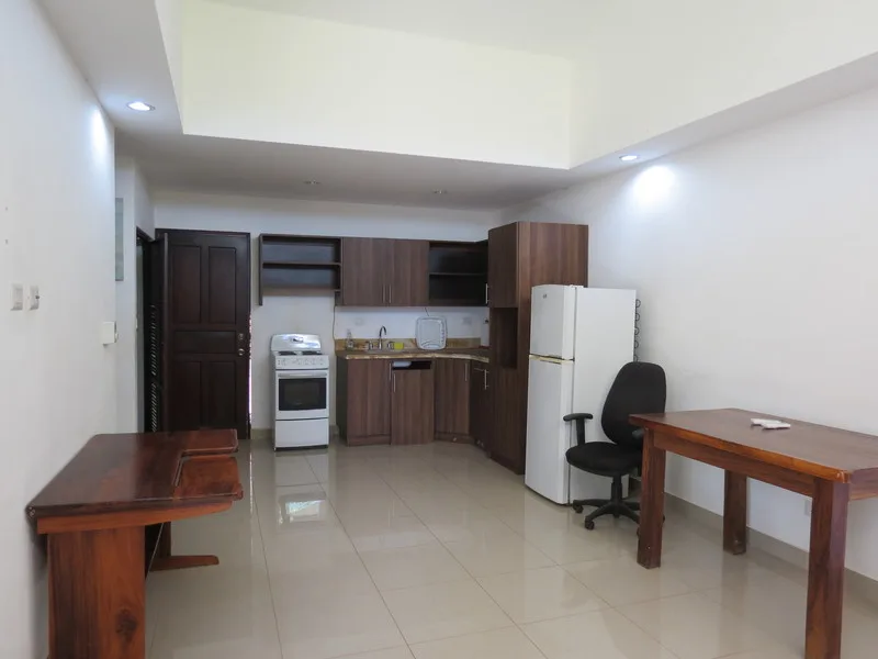 1 Bed Single Family Homes For Sale in Playa Lagarto, photo 3
