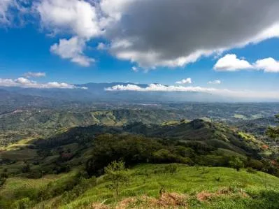 Finca frutal de 12 acres con pozo de agua profundo en San Isidro