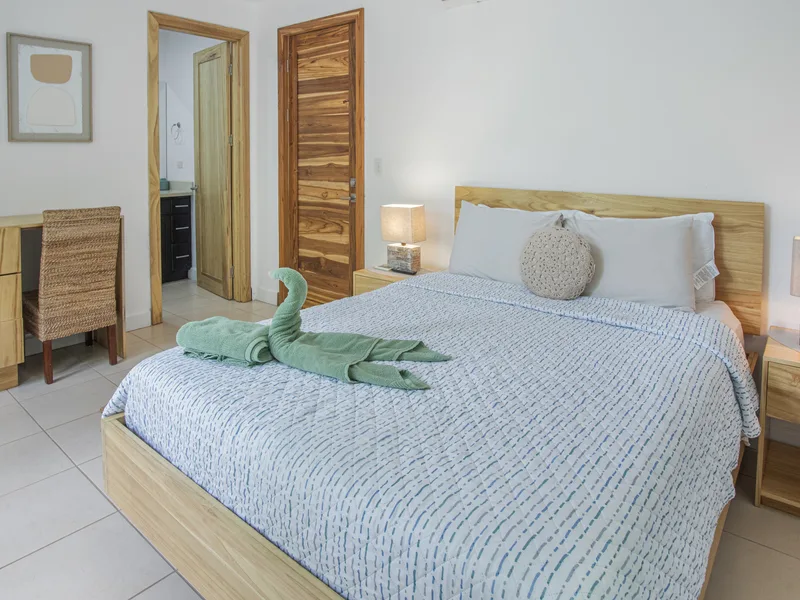 4 Bed Single Family Homes For Sale in Playas Del Coco, photo 13