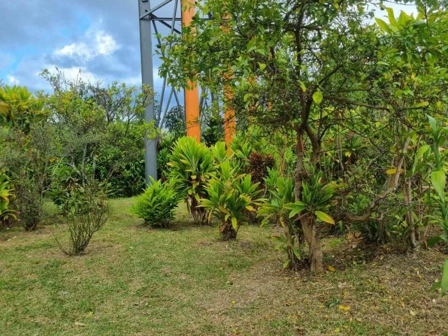 VENTA DE POTENCIAL LOTE EN EL CORAZÓN DE ZAPOTE, SAN JOSÉ (NR) - Venta en San José, photo 11