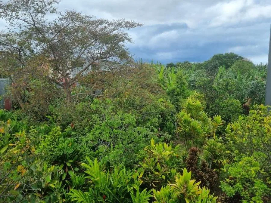 VENTA DE POTENCIAL LOTE EN EL CORAZÓN DE ZAPOTE, SAN JOSÉ (NR) - Venta en San José, photo 8
