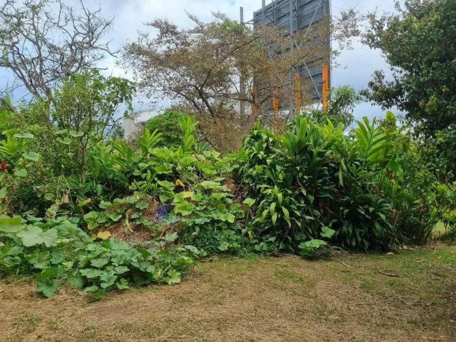 VENTA DE POTENCIAL LOTE EN EL CORAZÓN DE ZAPOTE, SAN JOSÉ (NR) - Venta en San José, photo 10