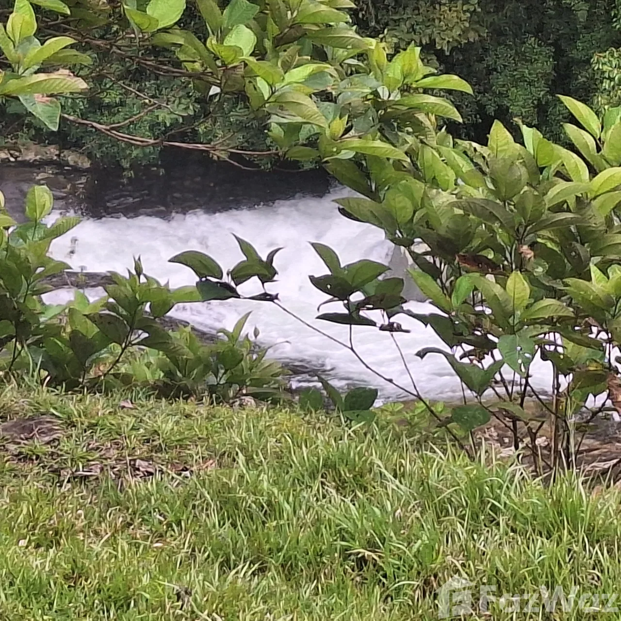 Land for Sale in Perez Zeledon, San Jose for $1,000,000, photo 2