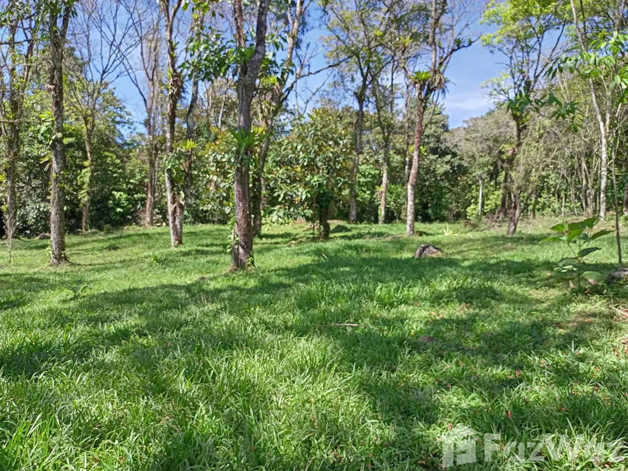 Land for Sale in Perez Zeledon, San Jose for $1,000,000, photo 6