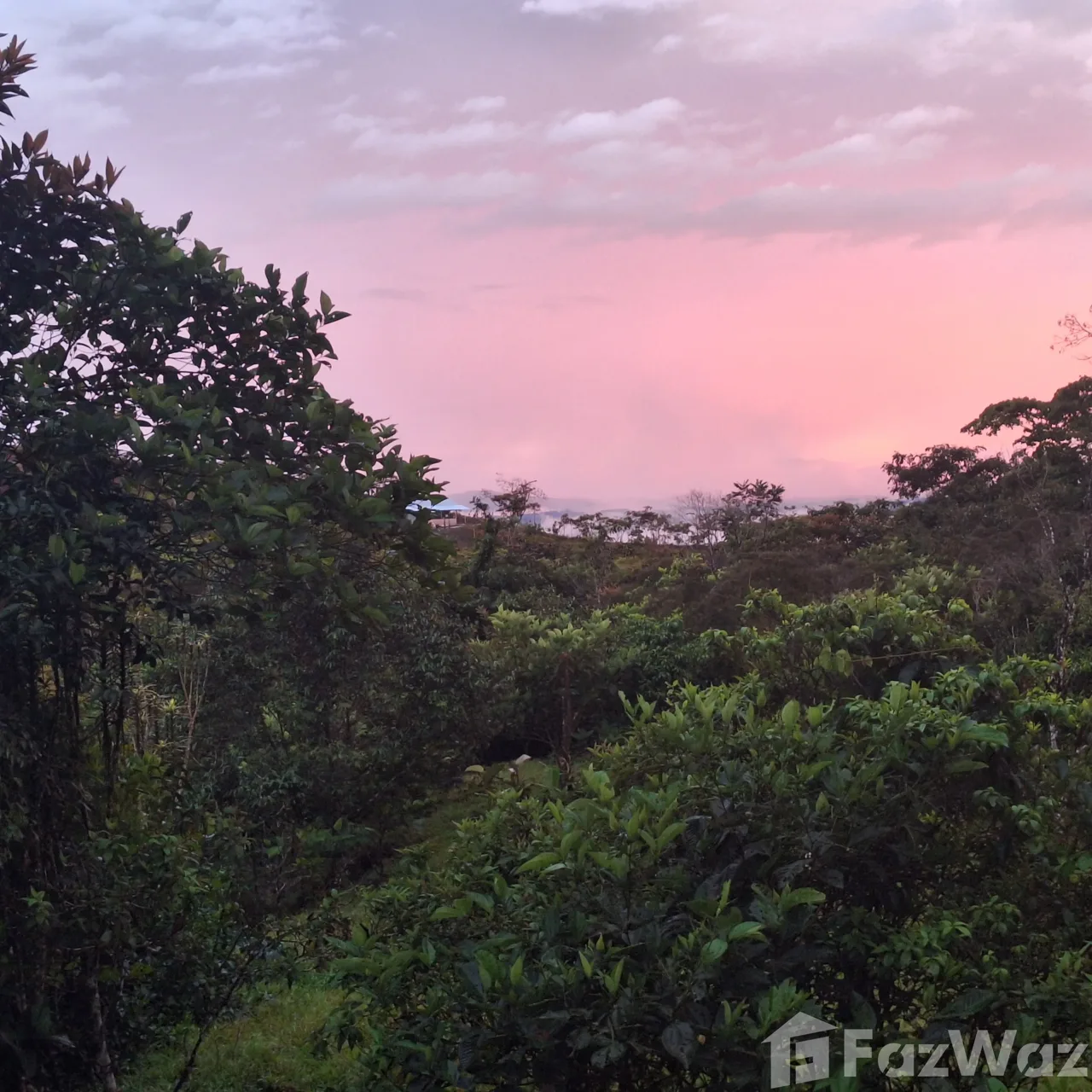 Land for Sale in Perez Zeledon, San Jose for $1,000,000, photo 7