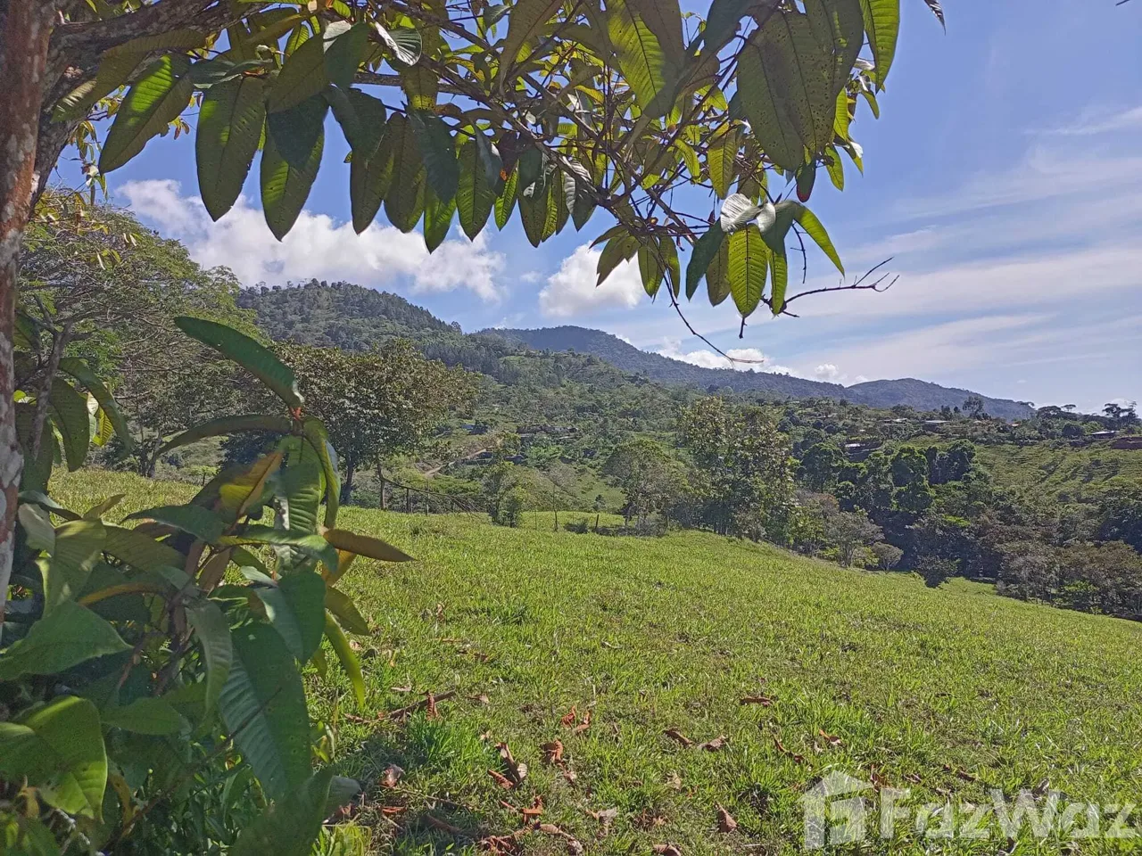 Land for Sale in Perez Zeledon, San Jose for $1,000,000, photo 8
