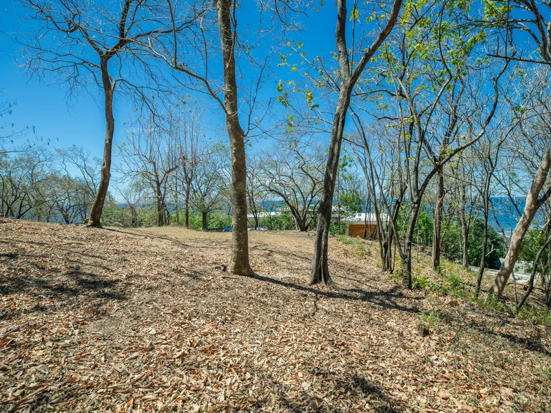 Land For Sale in Nosara, photo 6
