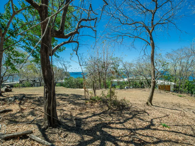 Land For Sale in Nosara, photo 7