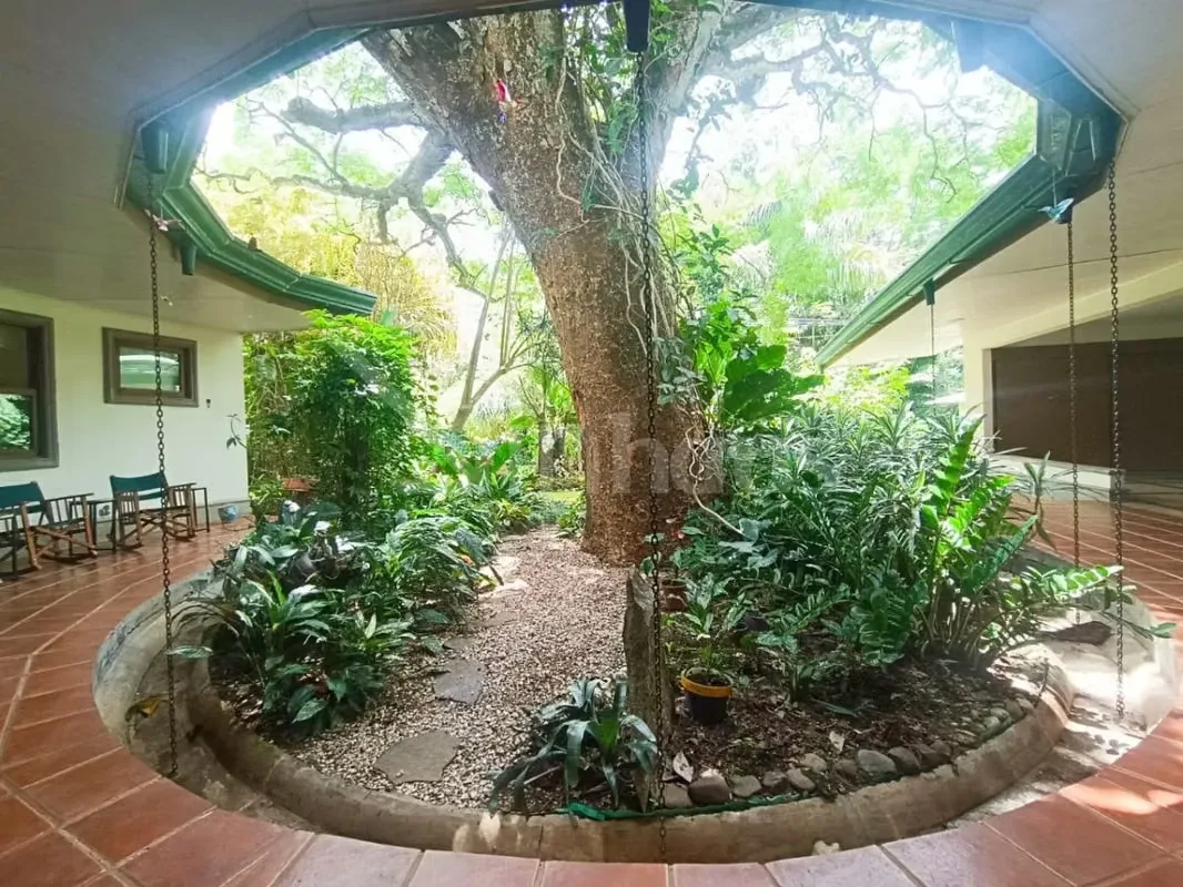 Se vende casa de un solo nivel con tres habitaciones, cada una con baño privado, diseñada para integrar la naturaleza con la vida urbana.