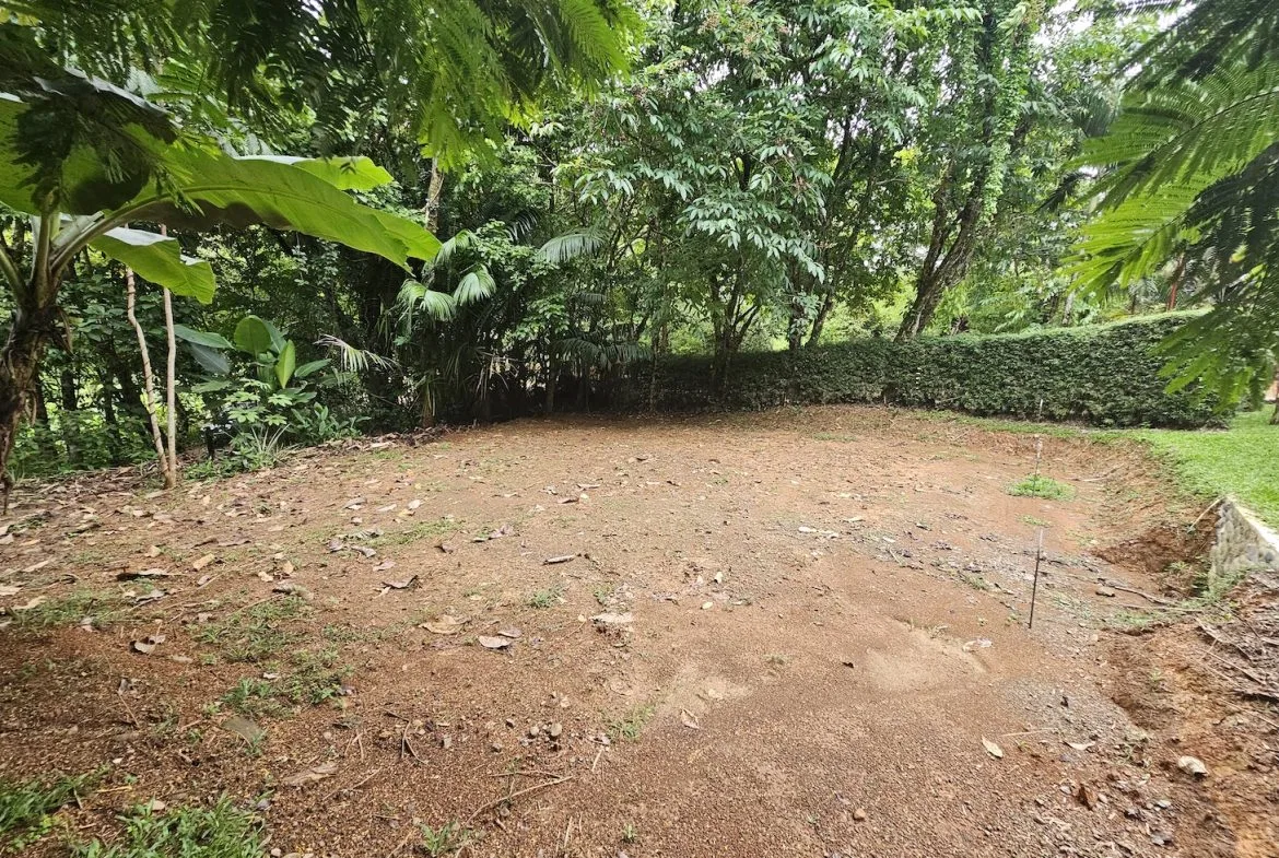 NEW 0.31 ACRES LOT IN UVITA !, photo 2