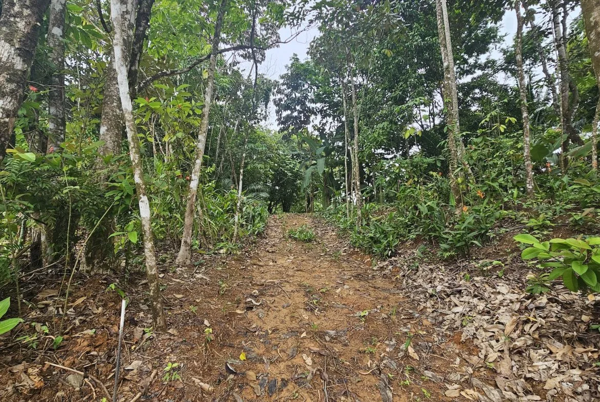 NEW 0.31 ACRES LOT IN UVITA !, photo 12