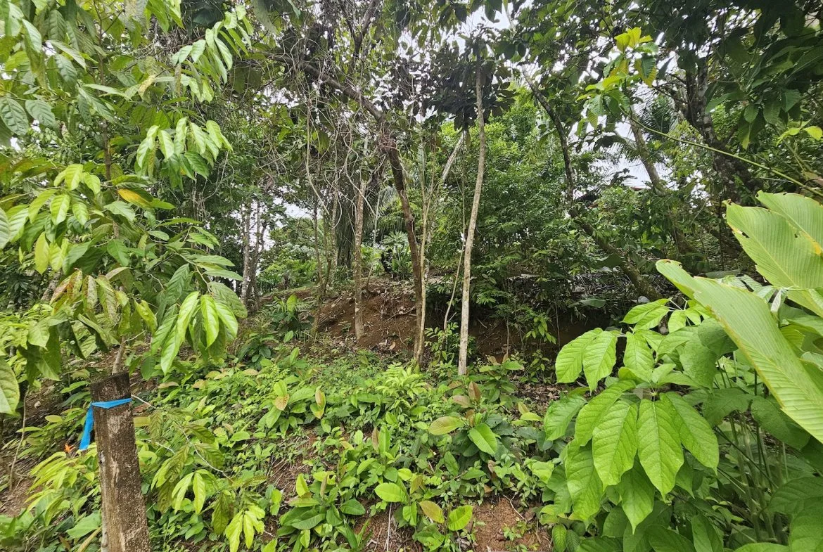 NEW 0.31 ACRES LOT IN UVITA !, photo 16