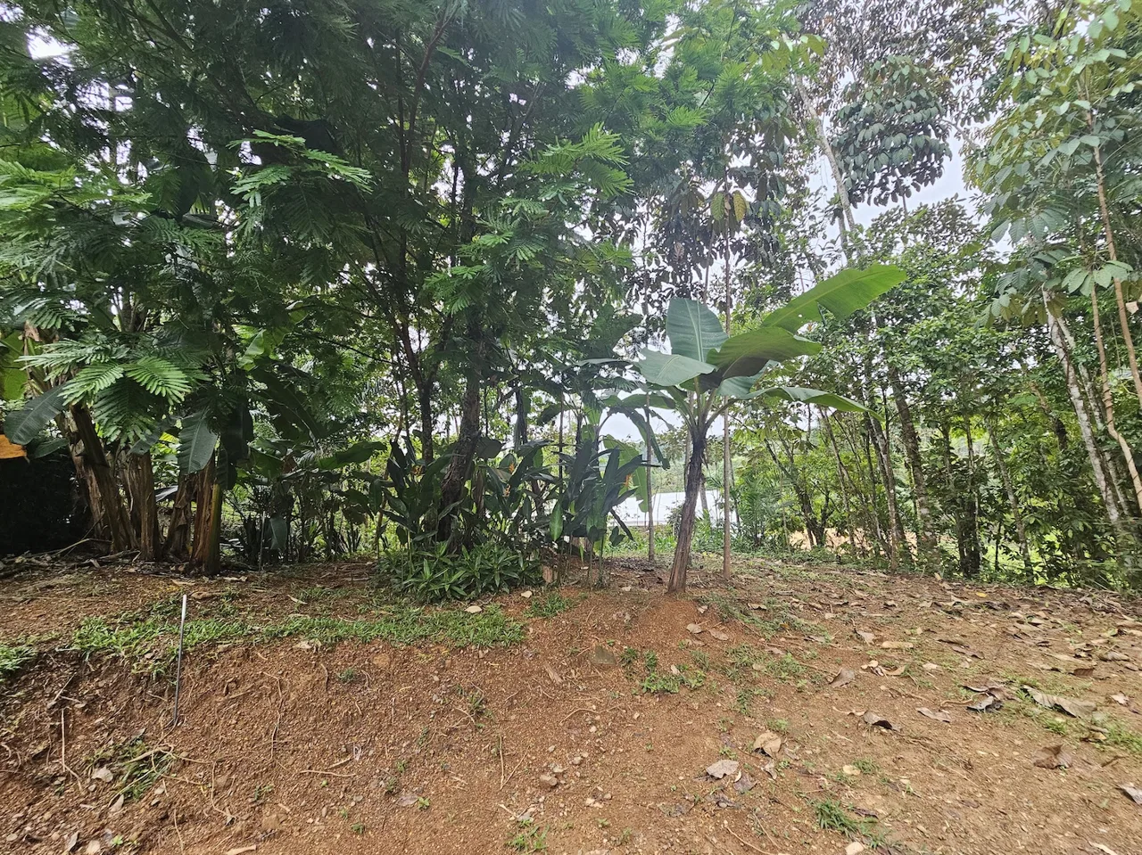 NEW 0.31 ACRES LOT IN UVITA !, photo 17