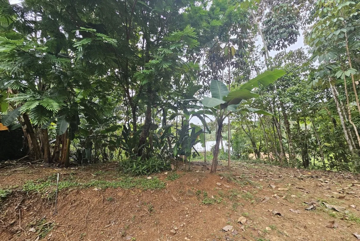 NEW 0.31 ACRES LOT IN UVITA !, photo 18