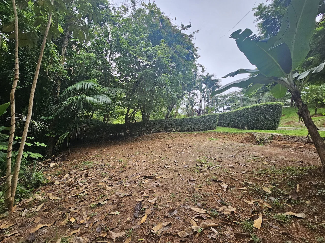 NEW 0.31 ACRES LOT IN UVITA !, photo 23