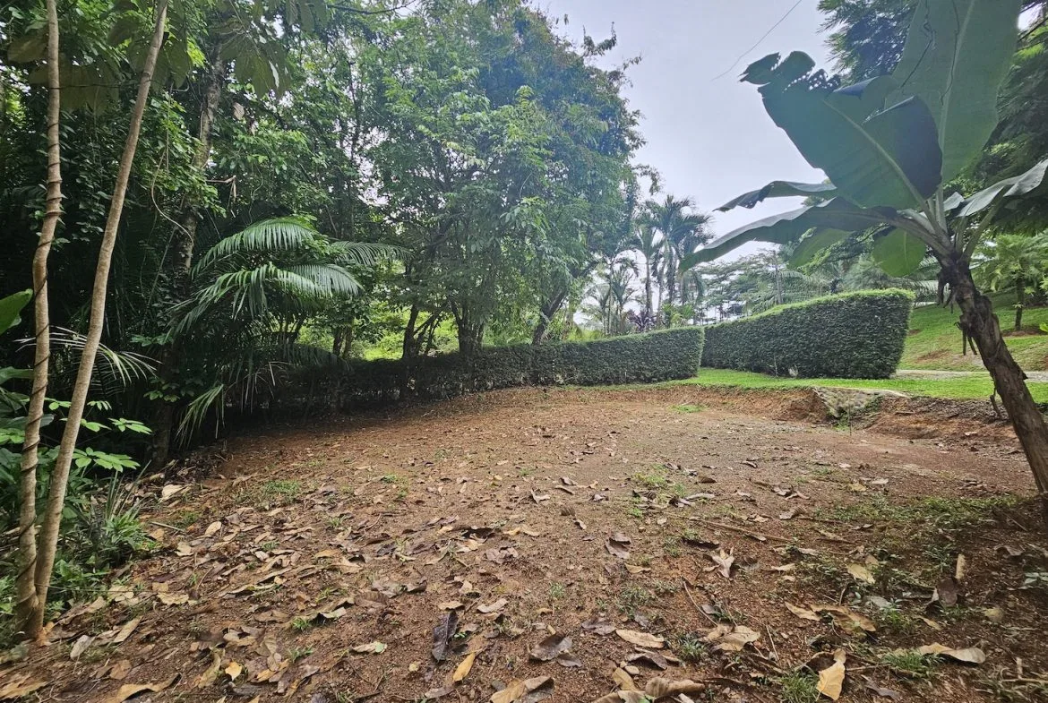 NEW 0.31 ACRES LOT IN UVITA !, photo 24
