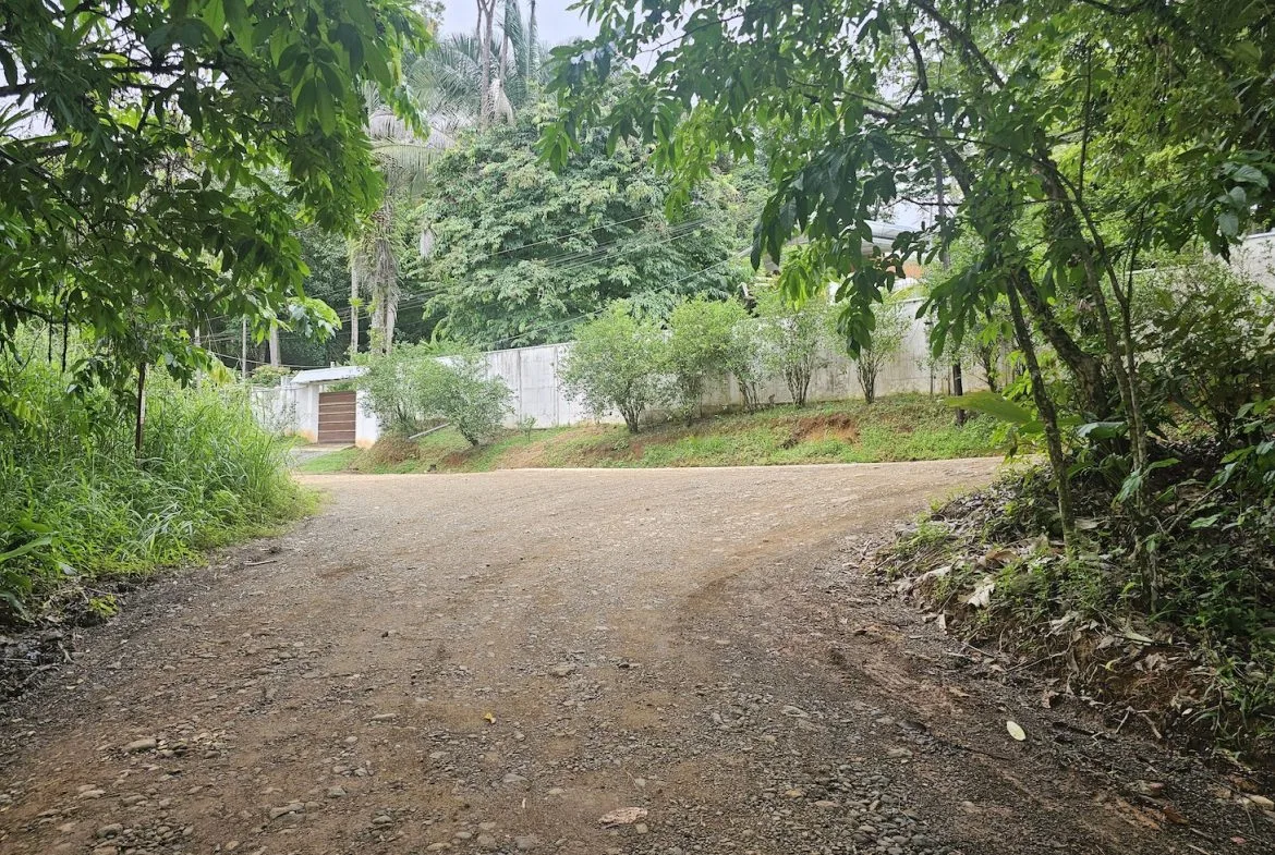 NEW 0.31 ACRES LOT IN UVITA !, photo 4